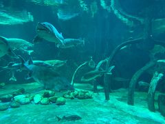 -华夏文旅海洋公园