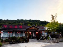 -呼吸森林·生态农庄农家乐私房菜