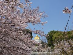 -苏州上方山国家森林公园
