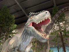 -湖南省地质博物馆