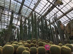 -南山植物园