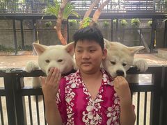 -TrueLove @ Neverland (Husky Cafe)