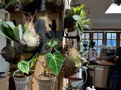 -本無咖啡·BeanWood Coffee