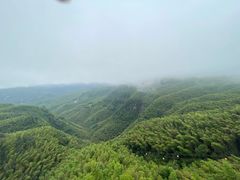 -蜀南竹海景区