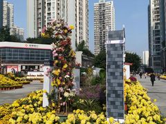 -万达广场(巴南店)