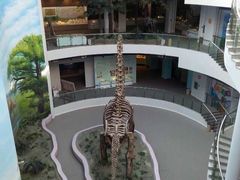 -辽宁古生物博物馆