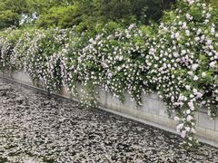 -尚贤河湿地