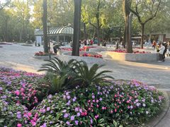 -中山公园