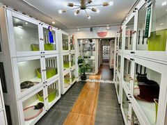 -青奢宠物·青奢猫舍