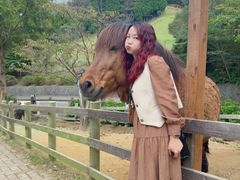 -神户市立六甲山牧场