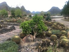 -Club Med地中海俱乐部·桂林度假村