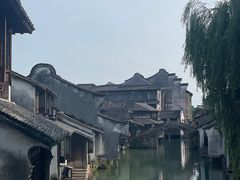 -乌镇西栅景区