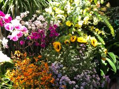 -春暖花开(西溪店)