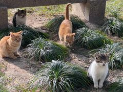 -狼山风景名胜区