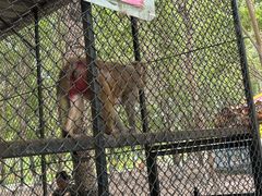 -长白岛森林公园