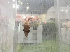 -上海昆虫博物馆