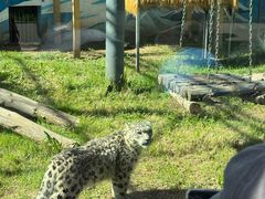 -青藏高原野生动物园