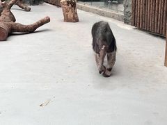 -武汉动物园