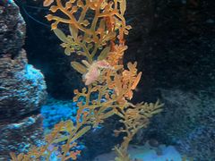 -沈阳海洋探索中心