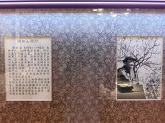 -松云泽