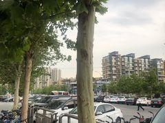 -香满园春饼·家常菜(东大桥店)