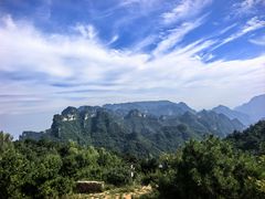 -王莽岭风景区