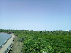 -东寨港红树林旅游区