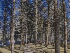 -硗碛藏寨·神木垒景区