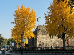 -中华门黑皮砂锅