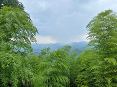 -莫干山风景区