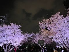 -西北湖绿化广场