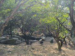 -泉州海丝野生动物世界