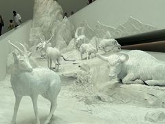 -中国湿地博物馆