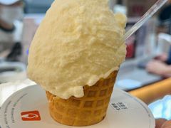 -野人先生现做冰淇淋(深圳壹方城店)