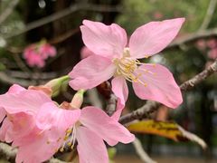 -广州市白云山风景名胜区