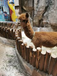 -宝燕乐园(闵行旗舰店)