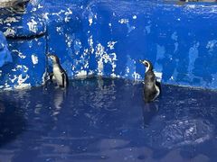 -太平洋海底世界