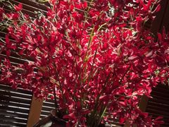 -北方家宴(番禺永旺店)