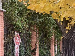 -同济大学(地铁站)