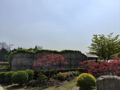 -嘉定紫藤园