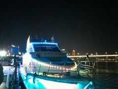 android_upload_pic-北江夜游黄金1号1029豪华游艇