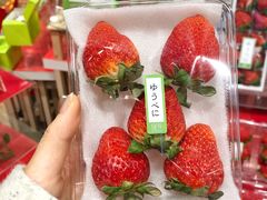 -阪急百货店(梅田总店)