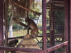 -武汉紫薇都市田园