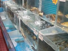 -胖姐渔村(中源大道店)
