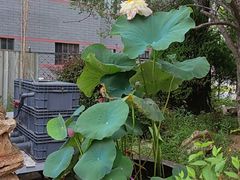 -隐食私房菜(渡口·光荣院南门·老街店)