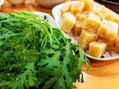 茼蒿-老康火锅(桥南街店)
