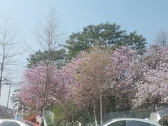 -松山湖风景区松湖烟雨