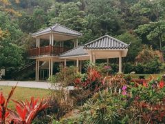 -火炉山森林公园