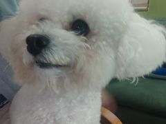 -默迹咖啡馆