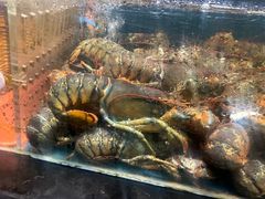-龙宴海鲜城(经中路店)